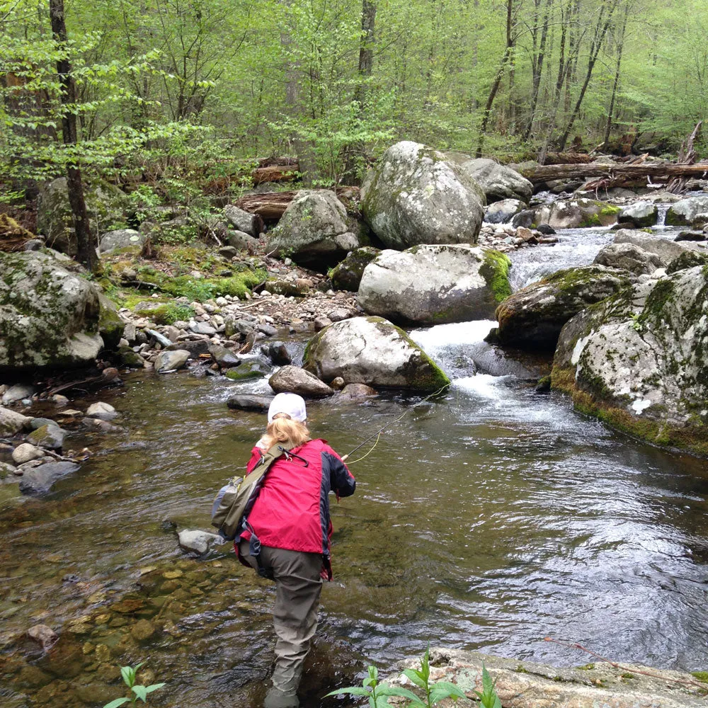 Mountain Trout Fly Fishing School - Shenandoah National Park