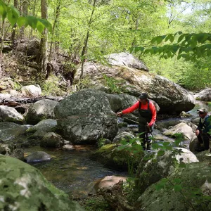 Mountain Trout Fly Fishing School - Shenandoah National Park